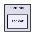 src/common/socket